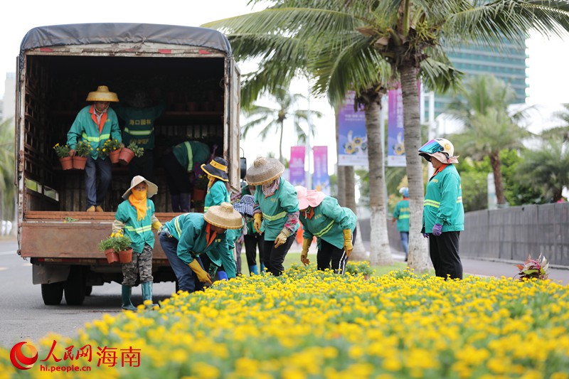 園林工人正在擺放新的花卉。人民網(wǎng) 符武平攝