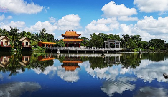 澄邁塘口村：荷香景美入畫來 鄉(xiāng)村旅游正當時