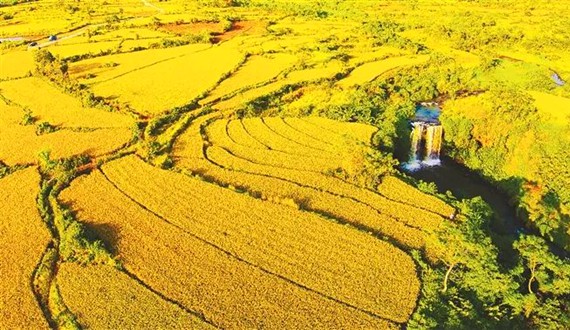澄邁永發(fā)鎮(zhèn)南軒村風光