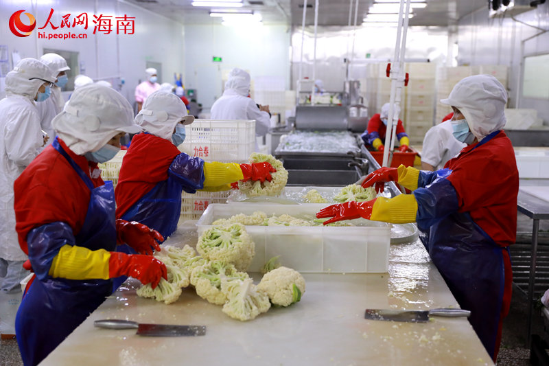 工作人員清洗菜花以備使用。 人民網(wǎng) 孟凡盛攝