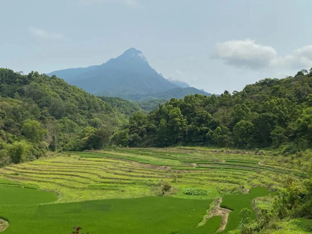 依托海南自貿(mào)港的政策、人才、環(huán)境等優(yōu)勢，海南森林康養(yǎng)產(chǎn)業(yè)的發(fā)展，未來可期。