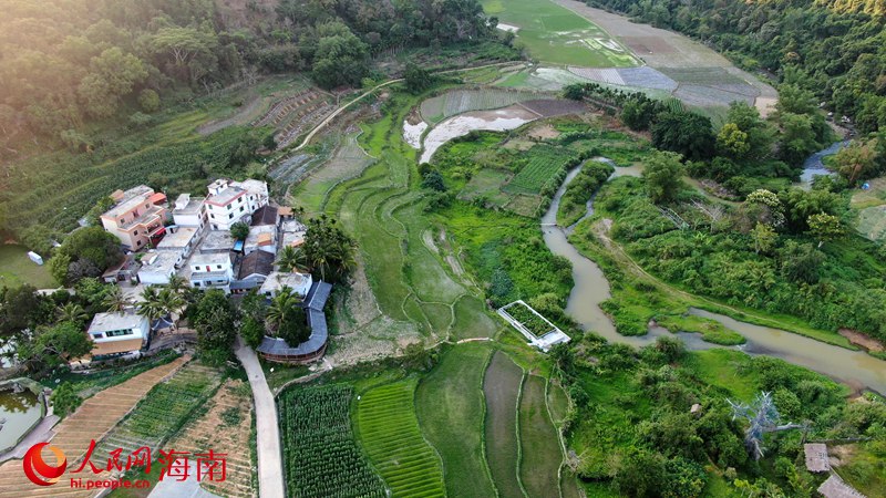 五指山，保亭、瓊中、白沙等市縣，積極布局森林康養(yǎng)產(chǎn)業(yè)