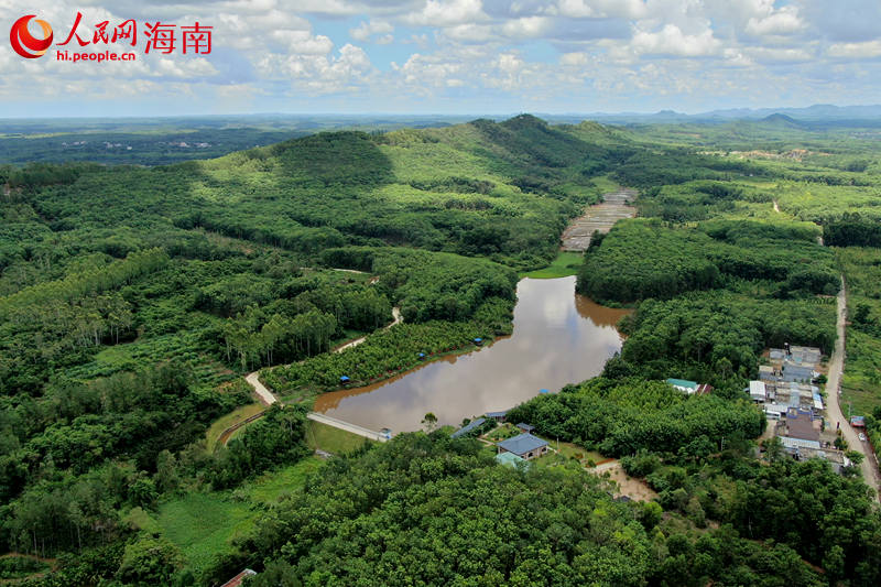 近年來，澄邁縣依托當?shù)貐^(qū)位和生態(tài)資源優(yōu)勢，大力發(fā)展特色富硒產(chǎn)業(yè)，提升百姓收入。圖為澄邁縣效古村。