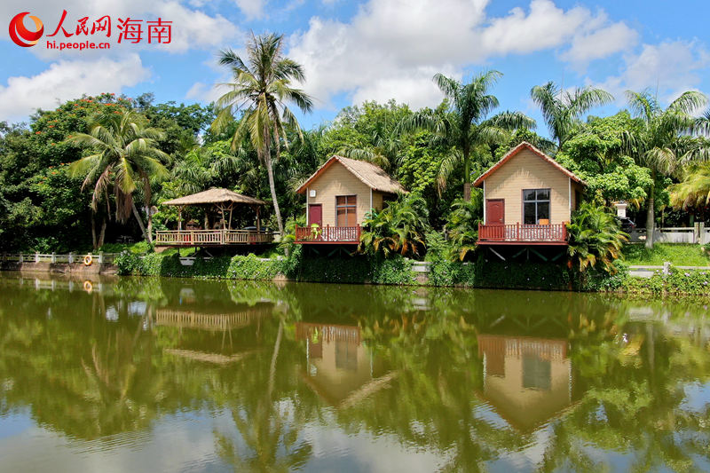澄邁鄉(xiāng)村呈現(xiàn)出一幅幅產(chǎn)業(yè)興旺、生態(tài)宜居、鄉(xiāng)風文明、治理有效、生活富裕的新風貌。圖為澄邁塘口村