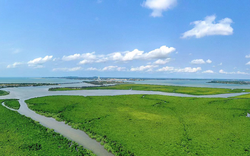 海南以退塘還濕、河道治理、新造紅樹林等方式引濕地入城