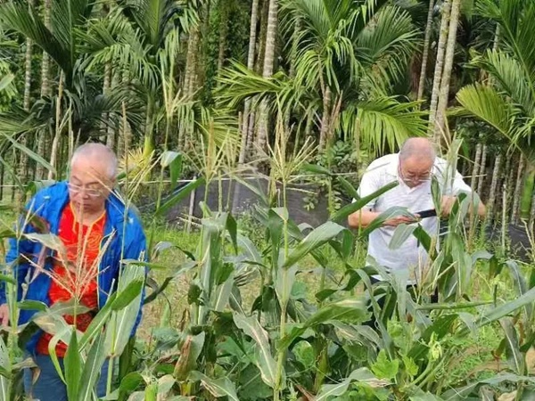 鴻雁“候鳥”人才工作站引進(jìn)項目迎來收獲