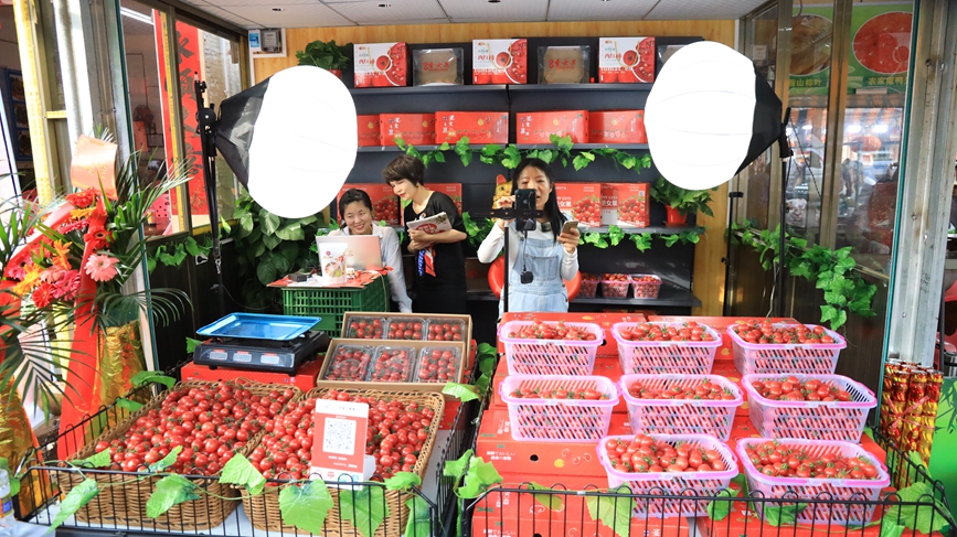 定安潭黎圣女果經(jīng)過精品包裝、直播帶貨，線上引流，線下銷售的方式實(shí)現(xiàn)“賣全國”，以小水果帶動(dòng)大產(chǎn)業(yè)。胡雄飛攝