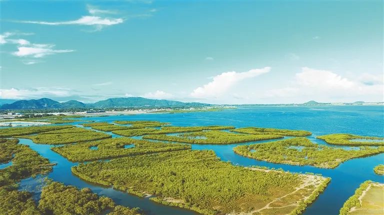 建設(shè)生態(tài)一流、綠色低碳的自由貿(mào)易港