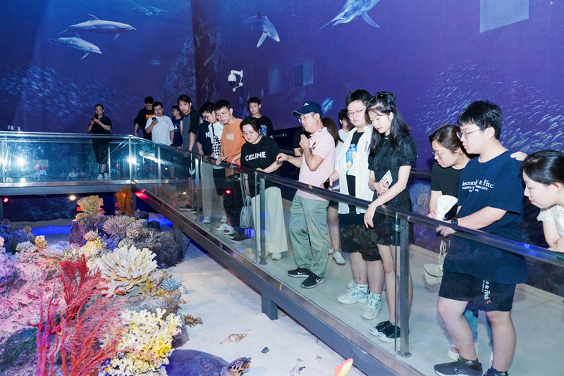 參賽隊(duì)伍參觀博物館。主辦方供圖