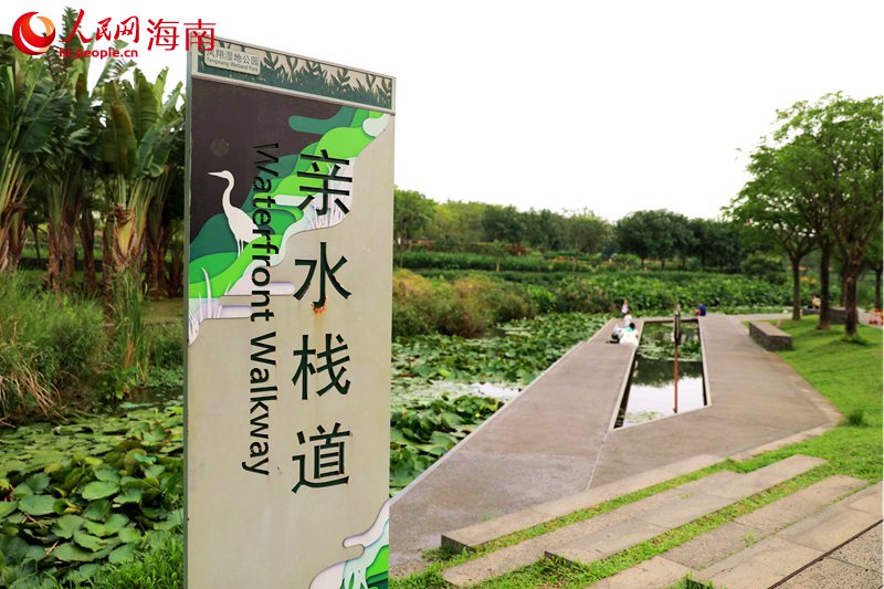 鳳翔濕地公園的親水棧道。 人民網(wǎng)記者 孟凡盛攝