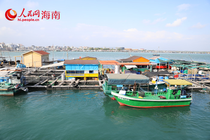 一間客房年?duì)I收超25萬(wàn) 陵水疍家漁排民宿為啥這樣紅？