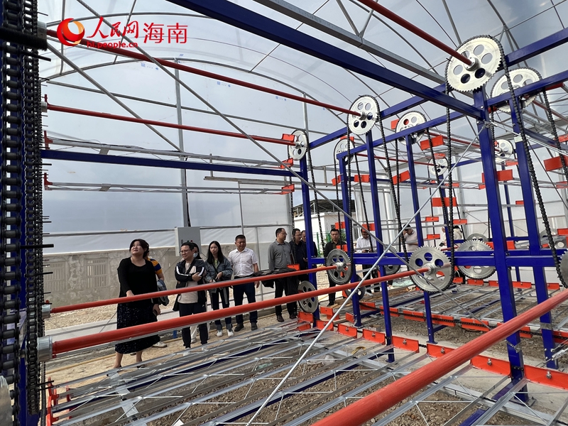 建設(shè)中的自動化育秧車間。人民網(wǎng)記者 李學(xué)山攝