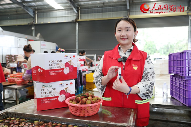 ?？卩]政工作人員對(duì)荔枝進(jìn)行產(chǎn)品把控。人民網(wǎng)記者 符武平攝