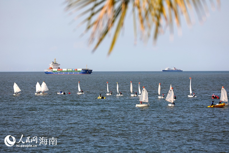 椰影搖曳下，愛好者們駕駛帆船揚(yáng)帆出海。人民網(wǎng)記者 符武平攝