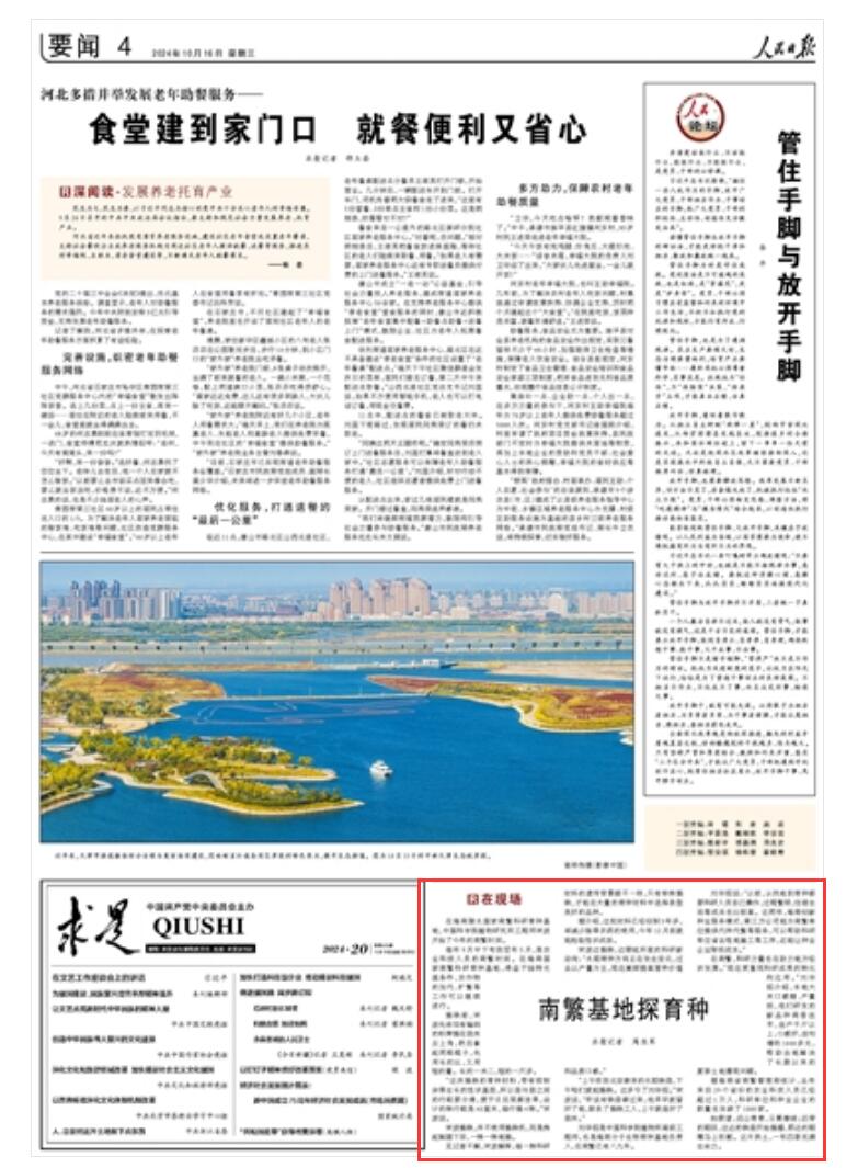 《 人民日?qǐng)?bào) 》（ 2024年10月16日   第 04 版）