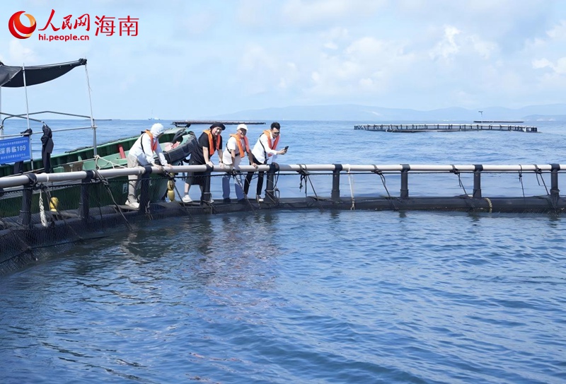 行進中國海南采訪團記者探訪國內(nèi)首個金槍魚海上養(yǎng)殖示范基地。人民網(wǎng)記者符武平攝